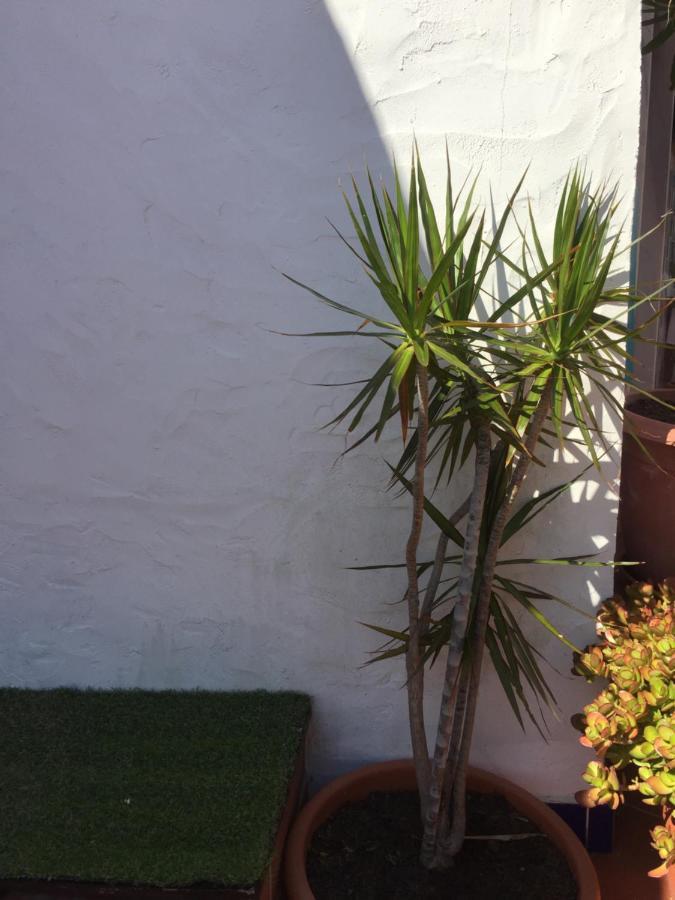 Ferienwohnung Vila Fidalgo Nazaré Exterior foto